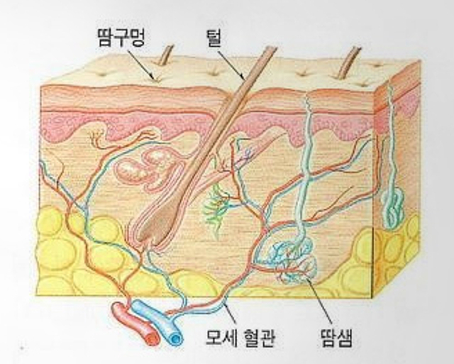 리연클리닉_액취증_배너